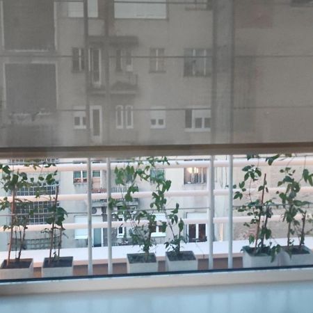 Artissimo Roofterace Διαμέρισμα Ζάγκρεμπ Εξωτερικό φωτογραφία